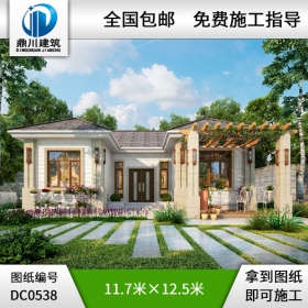 新農(nóng)村一層經(jīng)濟型自建別墅設(shè)計圖紙及效果圖_農(nóng)村平房別墅圖紙,鼎川建筑