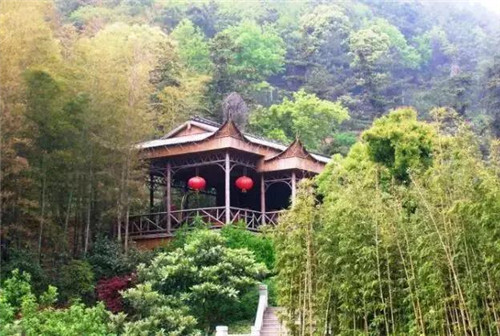 突然暴富誰不想，那就從家居風水來下手吧！